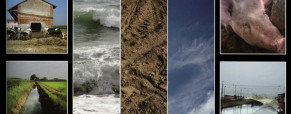 Post n° 18 – Lo scatto e poi l’editing