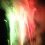Inaugurazione Mostra Nazionale: i vostri contributi 2