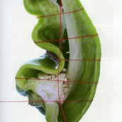 Post n° 37 – Esprimersi con la fotografia