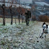 Post n° 4 – I compagni di squadra e le mete