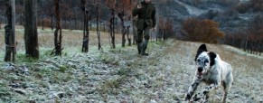 Post n° 4 – I compagni di squadra e le mete