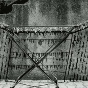 Post n° 56 – Il significante (II° parte)